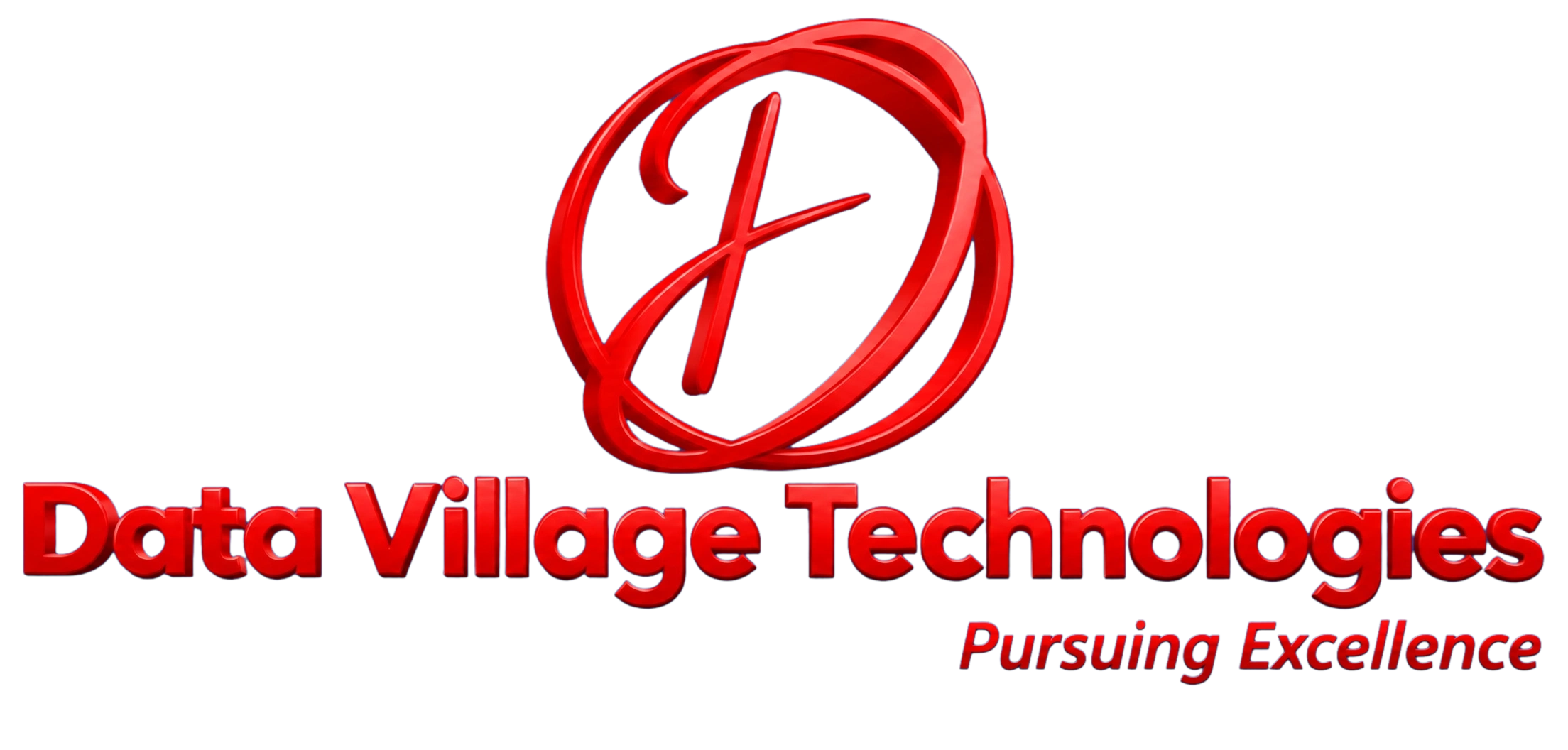 DataVillage 